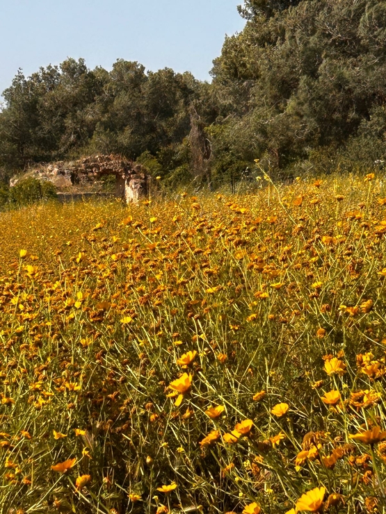 תמונת מופע: שביל ישראל לייט-ממצפור א"ח לבקעת קדש