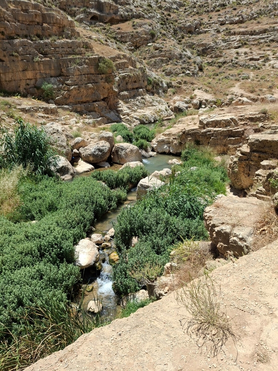 תמונת מופע: שביל ישראל לייט- מכפר גלעדי למצפור א"ח